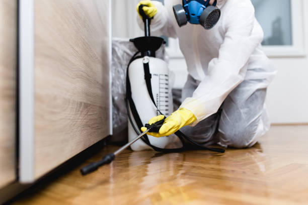 Best Termite Control Services  in Huntington Bay, NY
