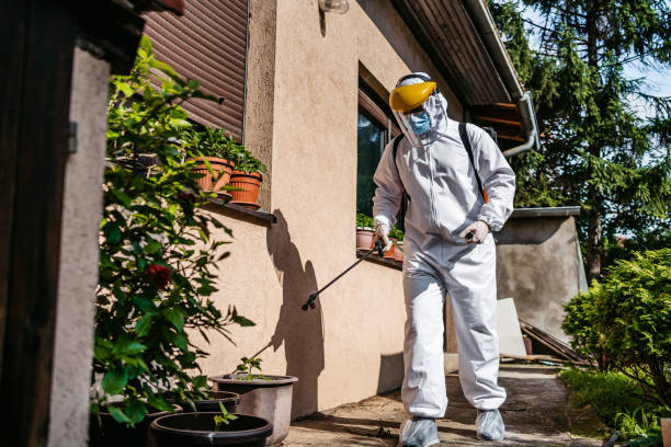 Best Local Pest Control Services  in Huntington Bay, NY