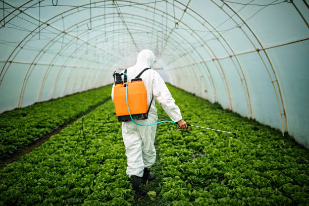 Best Pest Removal Services  in Huntington Bay, NY