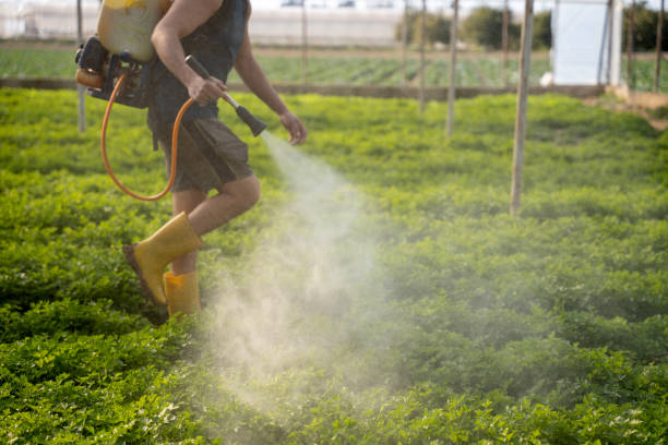 Best Residential Pest Control  in Huntington Bay, NY