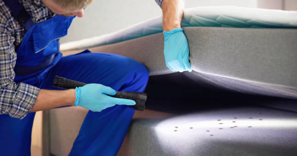 Best Pest Control Near Me  in Huntington Bay, NY