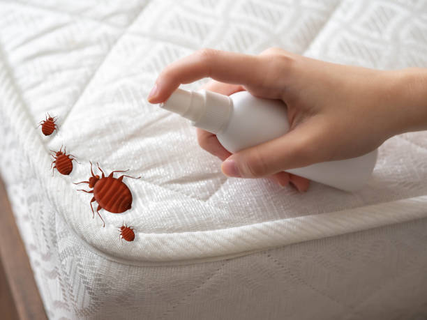 Best Pest Prevention Services  in Huntington Bay, NY